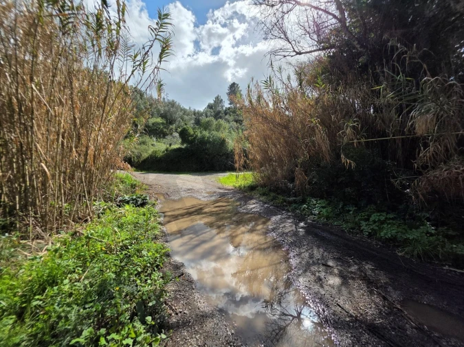 Terreno para Venda em Zibreira Foto 5