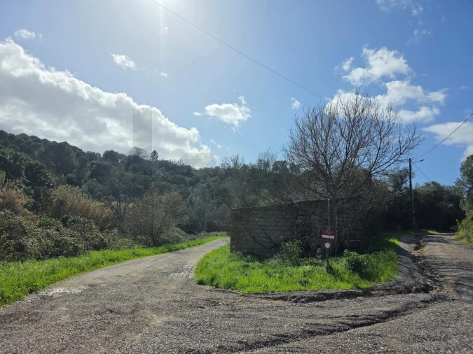 Terreno para Venda em Zibreira Foto 6