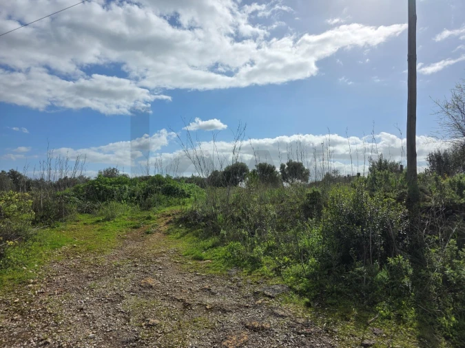 Terreno para Venda em Zibreira Foto 2