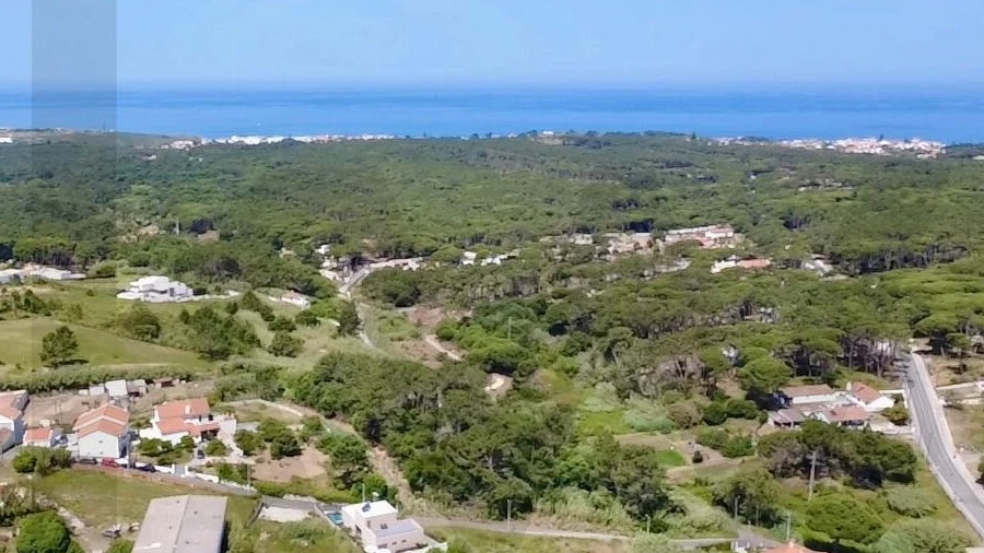 Terreno para Venda em São João das Lampas e Terrugem