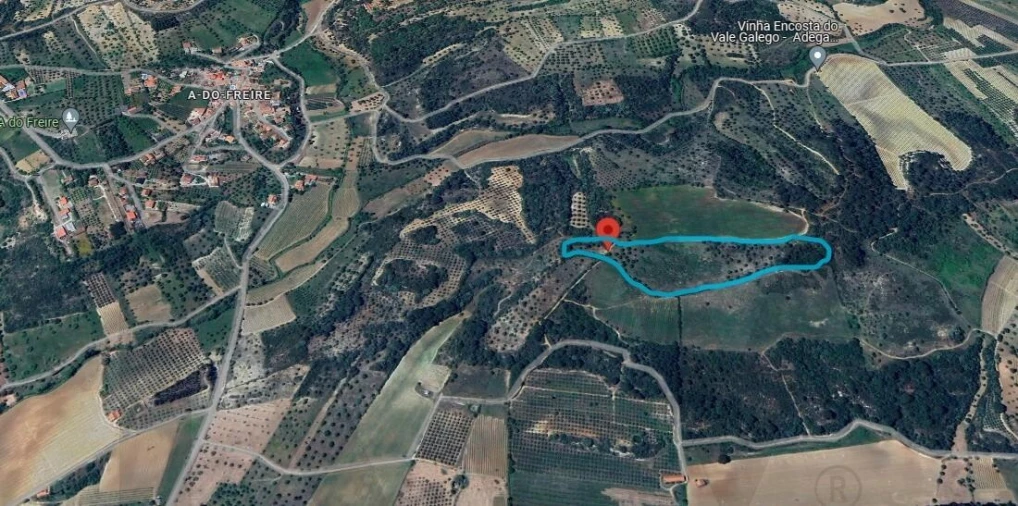 Terreno para Venda em Pedrogão Foto 8