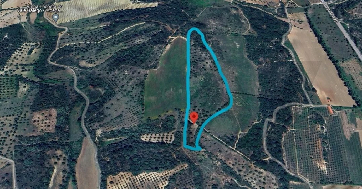 Terreno para Venda em Pedrogão Foto 9