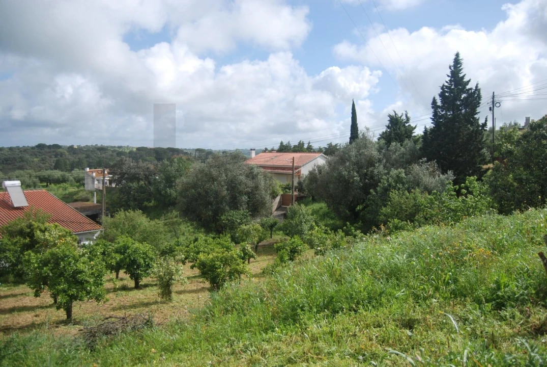 Terreno para Venda em Pedrogão Foto 2