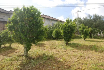 Terreno para Venda em Pedrogão