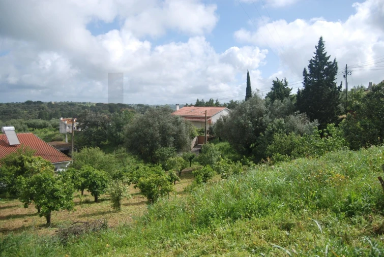 Terreno para Venda em Pedrogão Foto 2