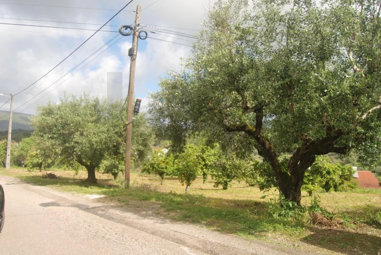 Terreno para Venda em Pedrogão Foto 6