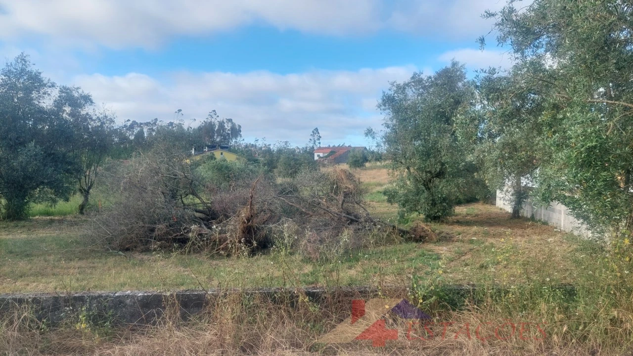 Terreno para Venda em Meirinhas Foto 2