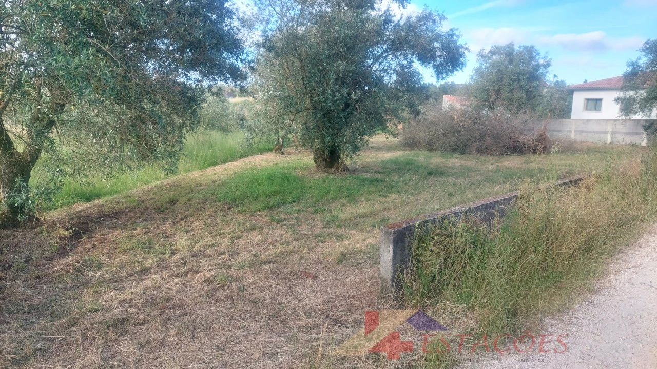 Terreno para Venda em Meirinhas Foto 3