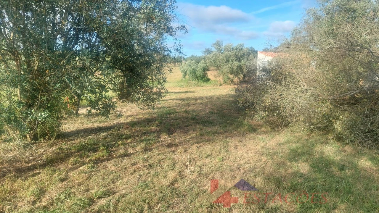 Terreno para Venda em Meirinhas Foto 6