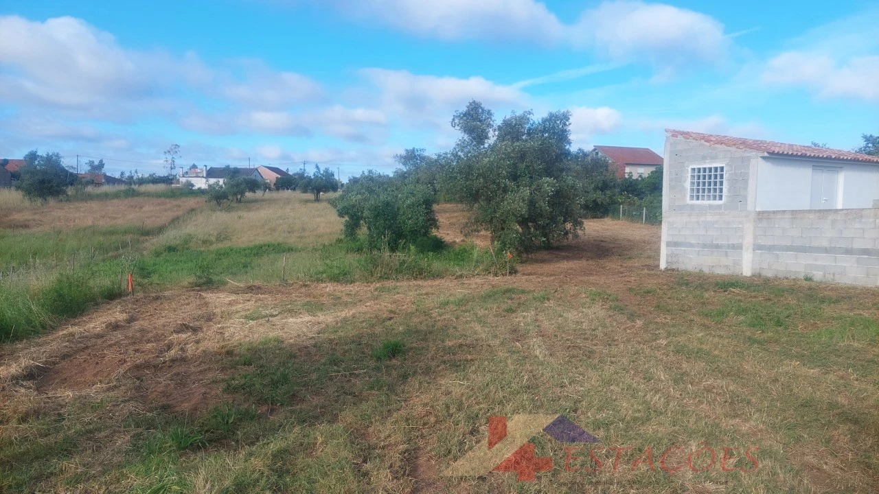 Terreno para Venda em Meirinhas Foto 7