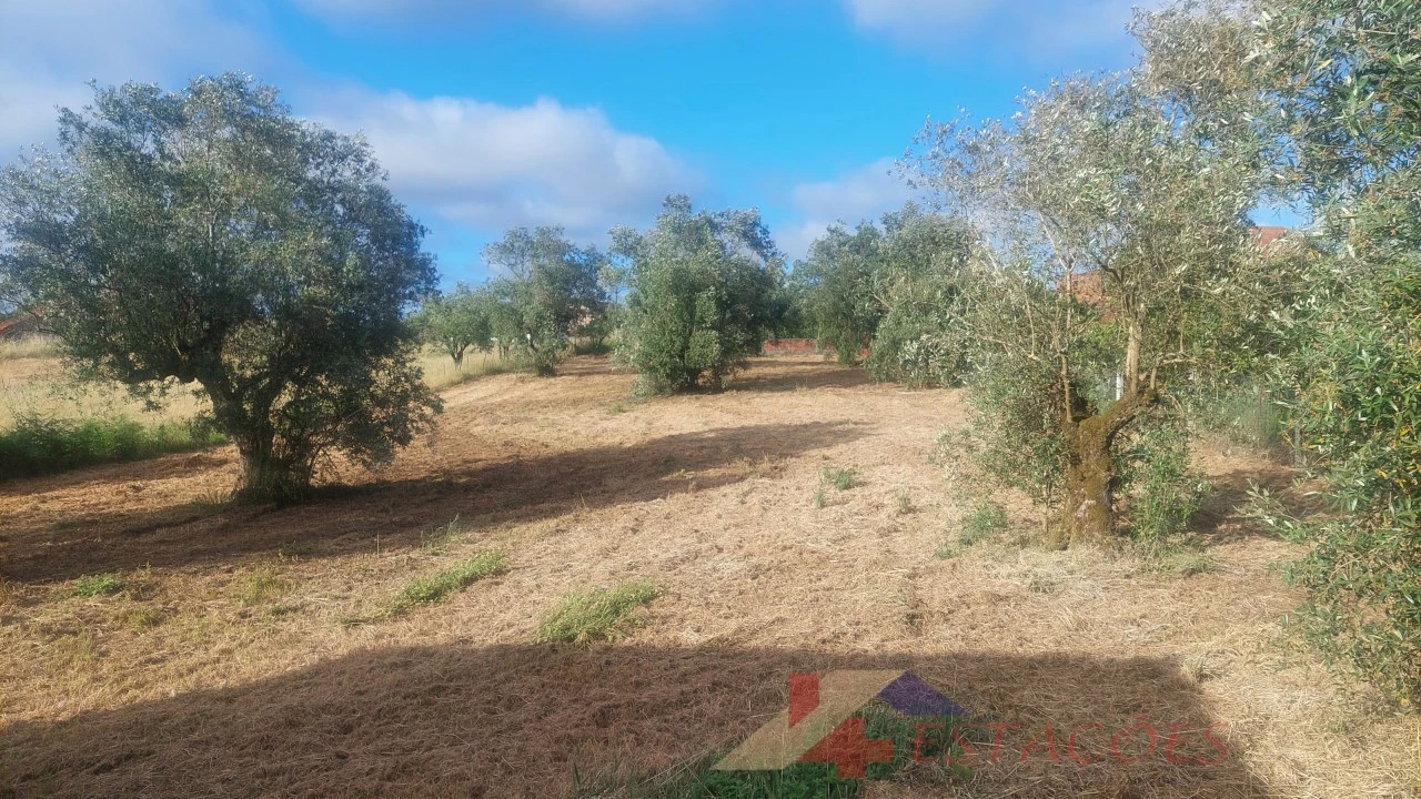 Terreno para Venda em Meirinhas Foto 8