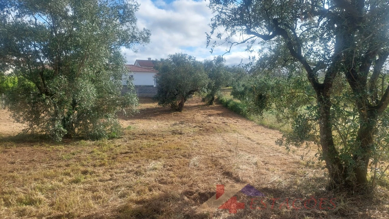 Terreno para Venda em Meirinhas Foto 9