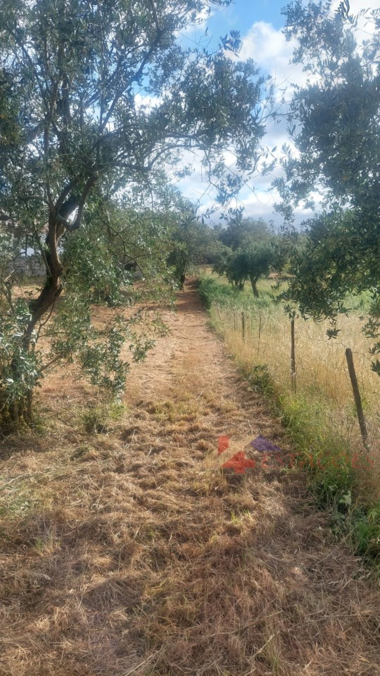 Terreno para Venda em Meirinhas Foto 10