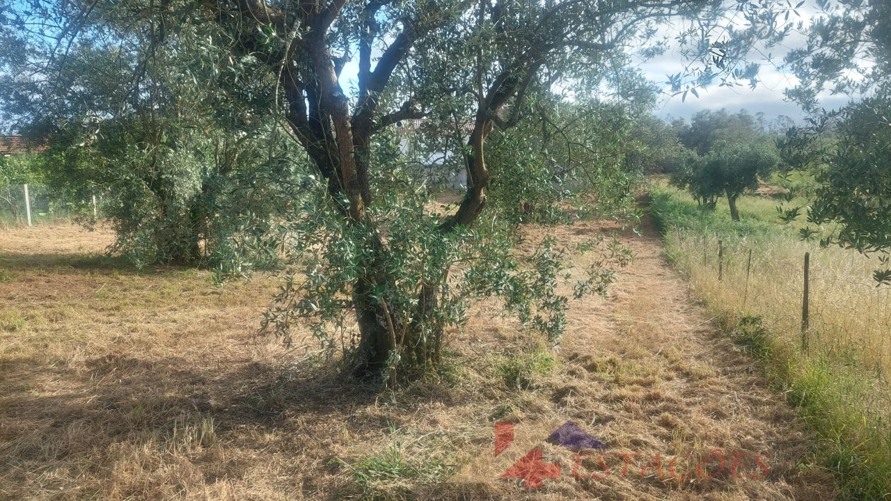 Terreno para Venda em Meirinhas Foto 11
