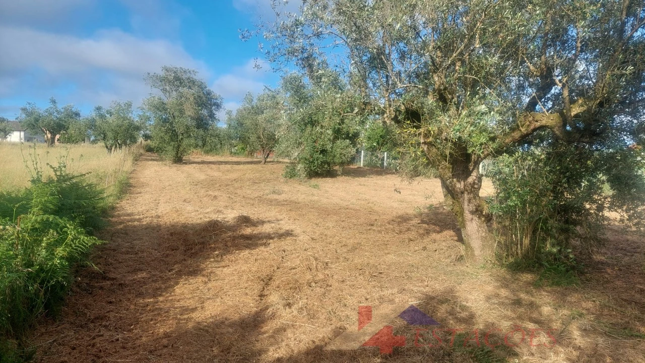 Terreno para Venda em Meirinhas Foto 13