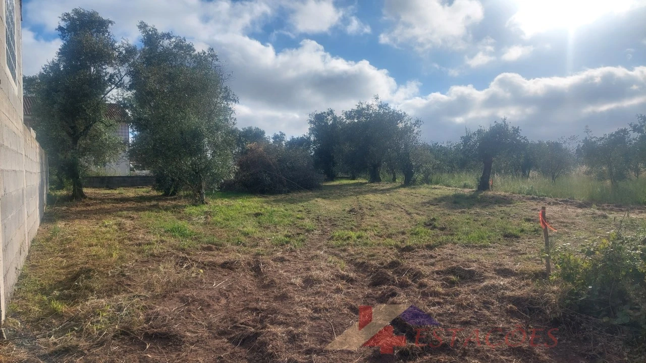 Terreno para Venda em Meirinhas Foto 14