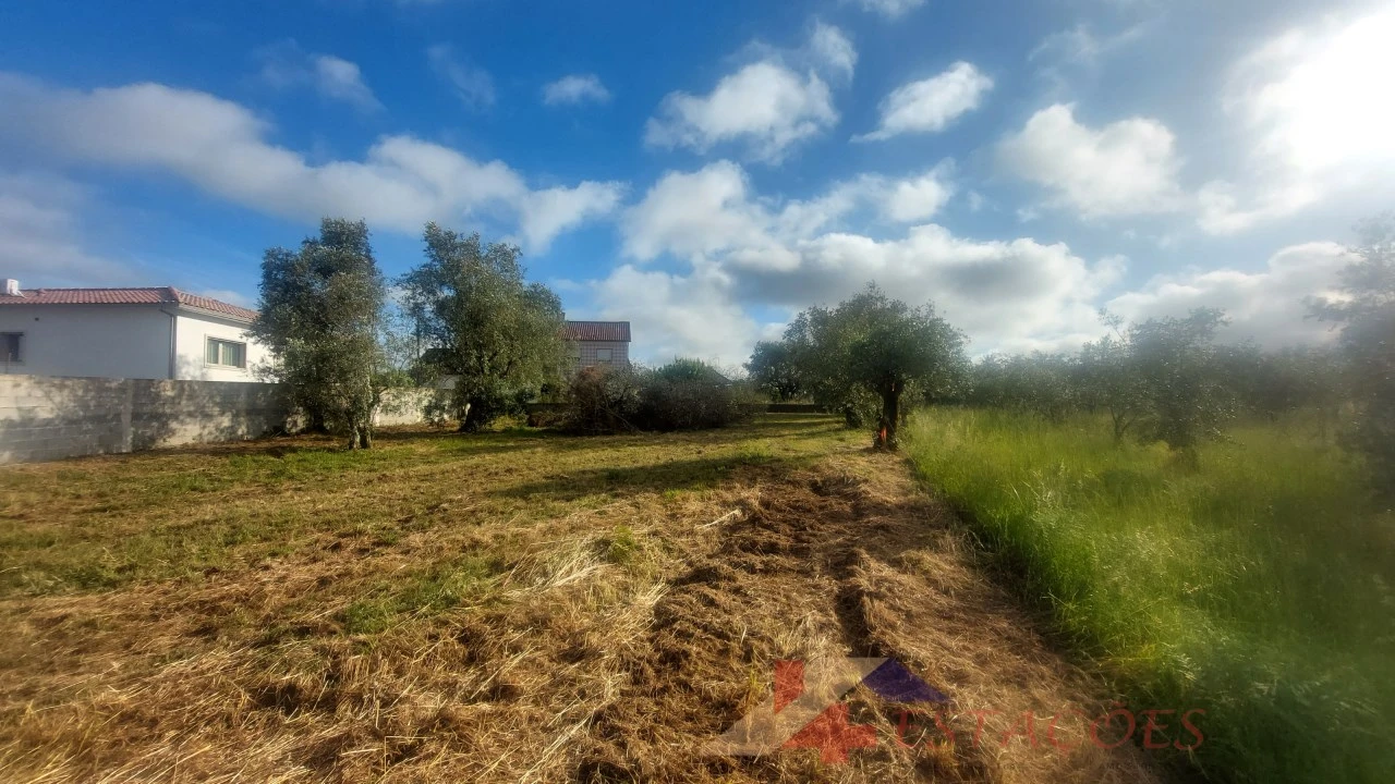 Terreno para Venda em Meirinhas Foto 16