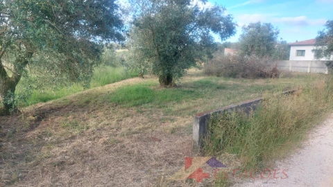 Terreno para Venda em Meirinhas