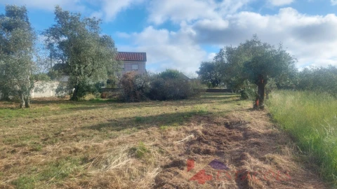 Terreno para Venda em Meirinhas