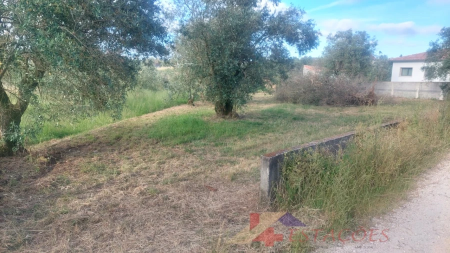 Terreno para Venda em Meirinhas Foto 3