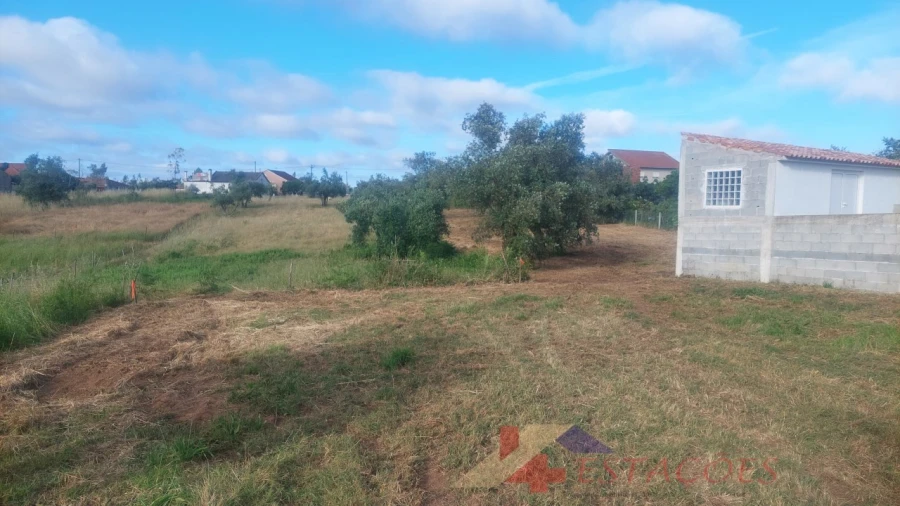 Terreno para Venda em Meirinhas Foto 7