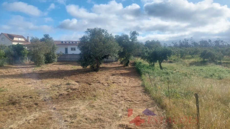 Terreno para Venda em Meirinhas Foto 12