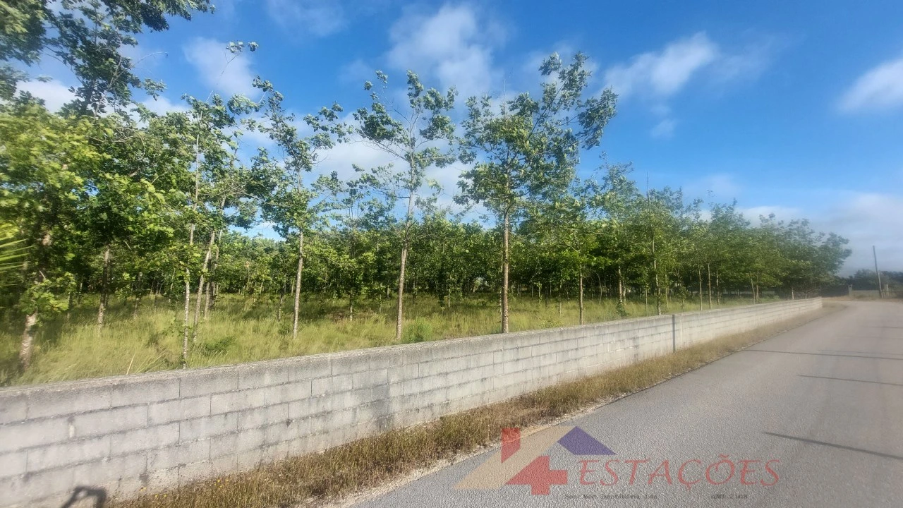 Terreno para Venda em Meirinhas Foto 4