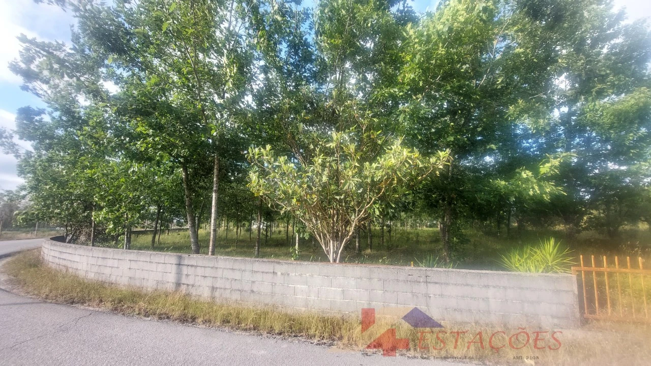 Terreno para Venda em Meirinhas Foto 5