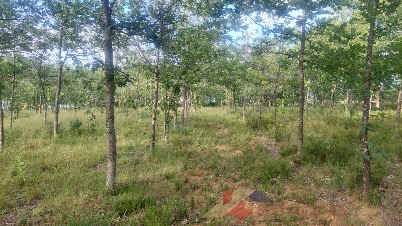 Terreno para Venda em Meirinhas Foto 10