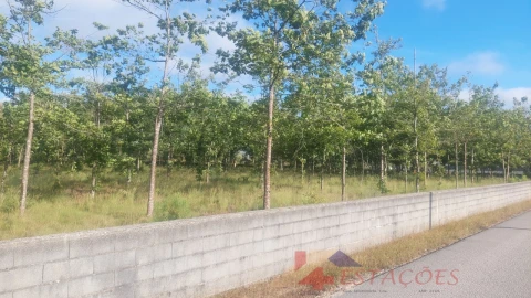 Terreno para Venda em Meirinhas