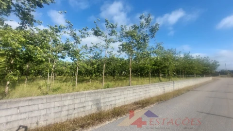 Terreno para Venda em Meirinhas