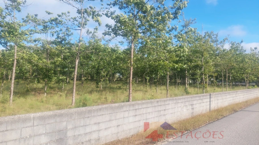 Terreno para Venda em Meirinhas Foto 3