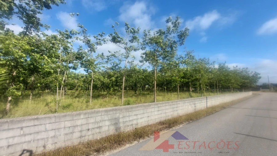 Terreno para Venda em Meirinhas Foto 4