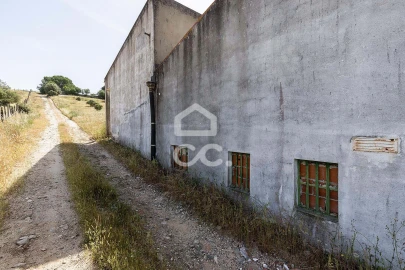 Quinta T3 para Venda em Arraiolos