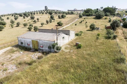 Quinta T3 para Venda em Arraiolos