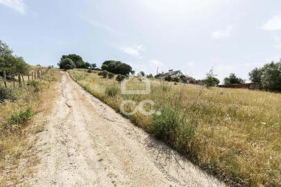 Quinta T3 para Venda em Arraiolos