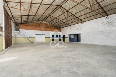 Quinta T3 para Venda em Arraiolos