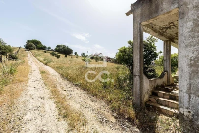 Quinta T3 para Venda em Arraiolos