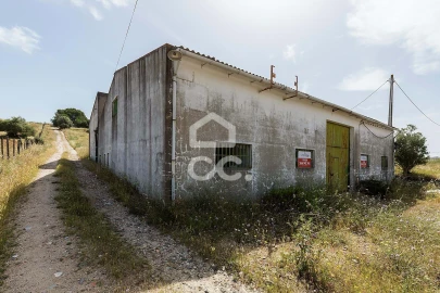 Quinta T3 para Venda em Arraiolos