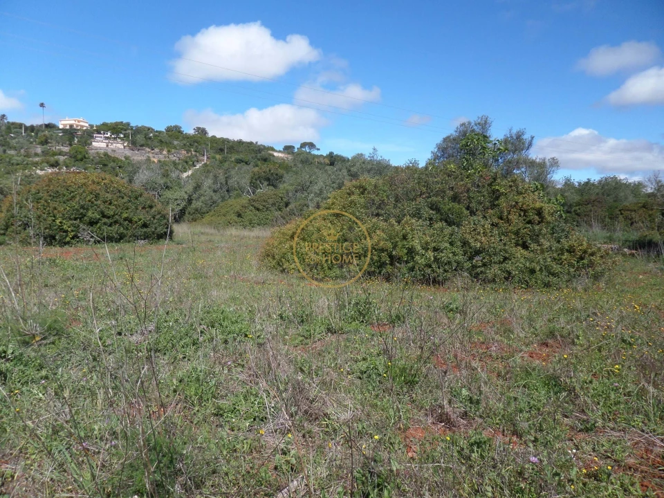 Terreno para Venda em Loule (São Clemente) Foto 10
