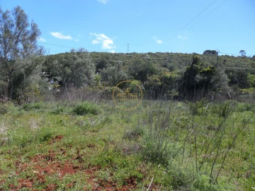 Terreno para Venda em Loule (São Clemente)