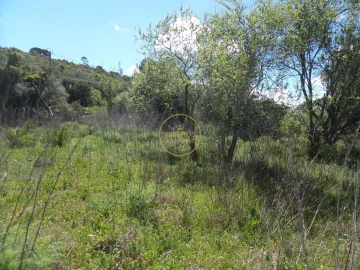 Terreno para Venda em Loule (São Clemente)