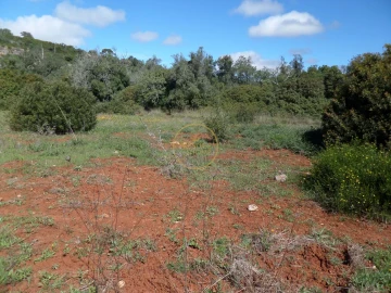 Terreno para Venda em Loule (São Clemente)