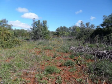 Terreno para Venda em Loule (São Clemente)