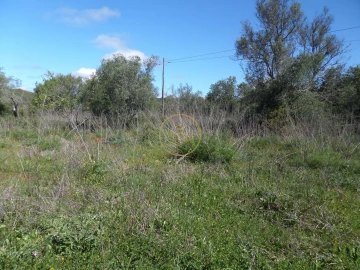 Terreno para Venda em Loule (São Clemente)