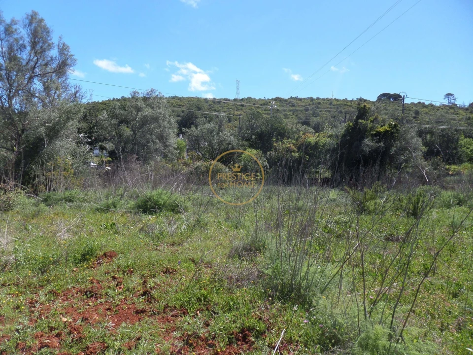 Terreno para Venda em Loule (São Clemente) Foto 7