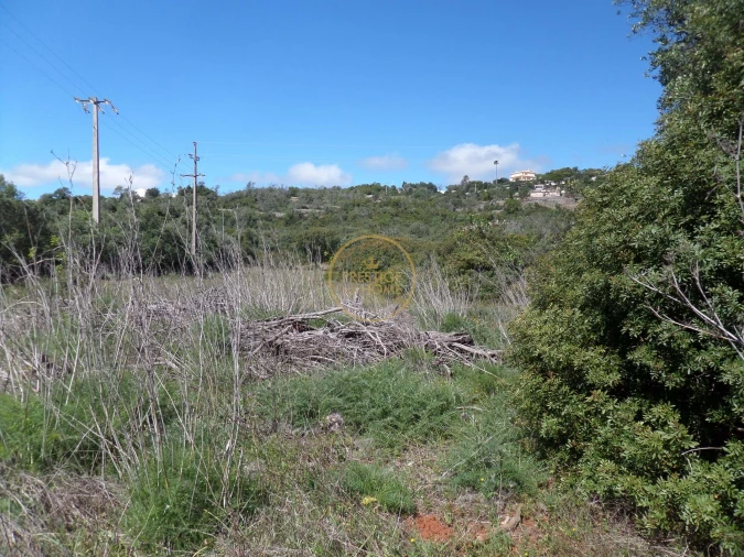 Terreno para Venda em Loule (São Clemente) Foto 6