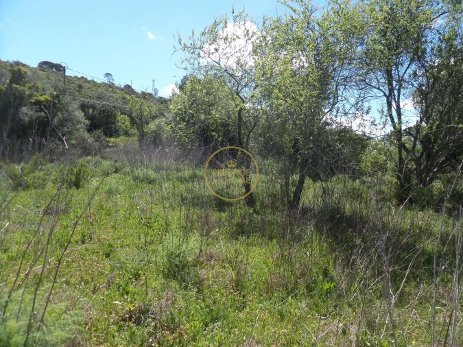 Terreno para Venda em Loule (São Clemente) Foto 8