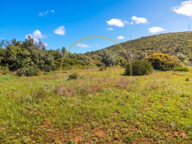 Terreno para Venda em Loule (São Clemente) Foto 15