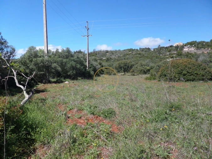 Terreno para Venda em Loule (São Clemente) Foto 9